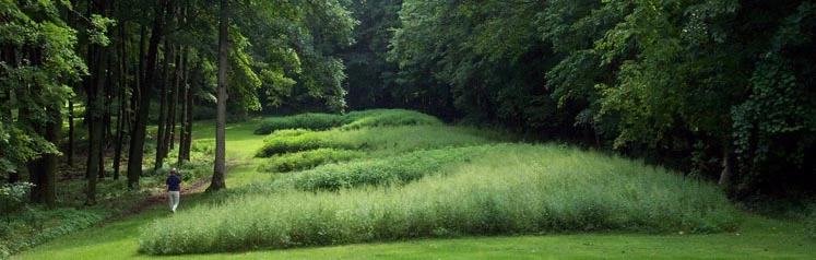 Navigating Life's Path: Top People Profiles on Spiritual Alignment and Purpose