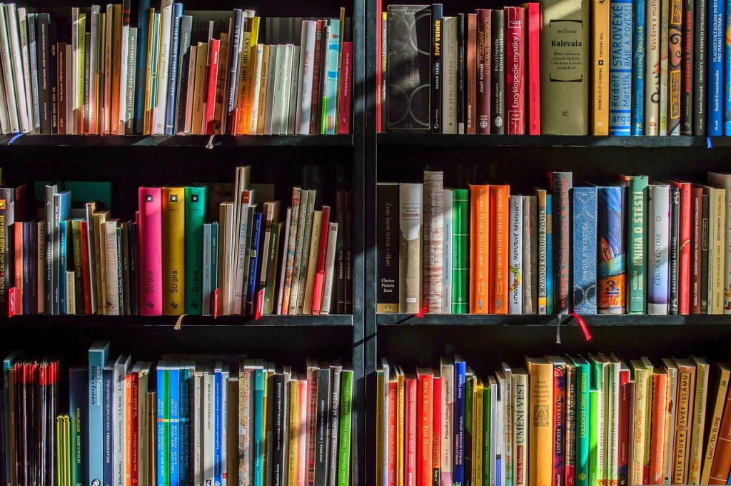 The Impact of BookTok on Contemporary Literature and Reader Engagement