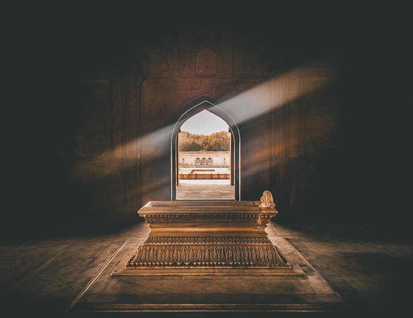 Unlocking the Secrets of the Afterlife: Insights from Near-Death Experiences on Next Level Soul