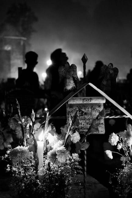 Unlocking Consciousness: Near-Death Experiences and the Afterlife with PMH Atwater on Next Level Soul