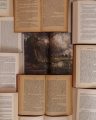 The Art of the Book Review: Beyond Summary, Towards Deeper Connection