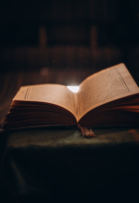 The Transformative Power of Book Reviews: Beyond Summaries, Cultivating Deeper Understanding
