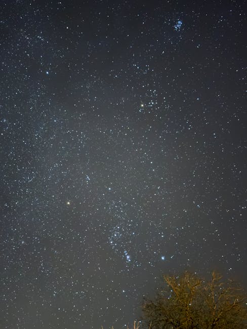 Beyond the Stars: Navigating Book Reviews in the Age of AI