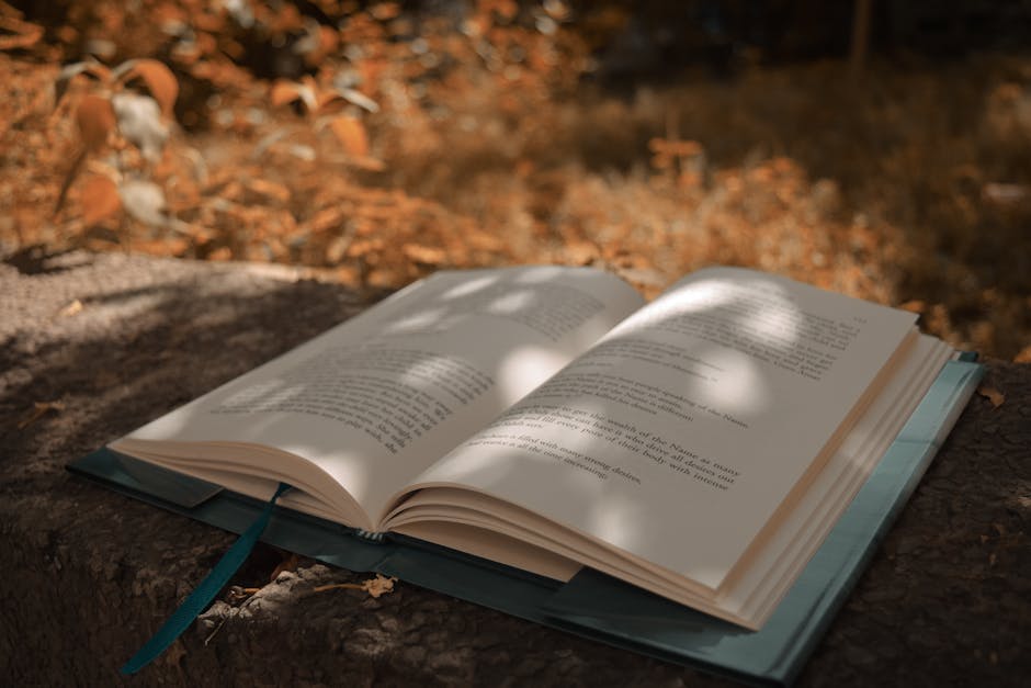 Beyond the Plot: Unearthing the Hidden Gems Within Book Reviews