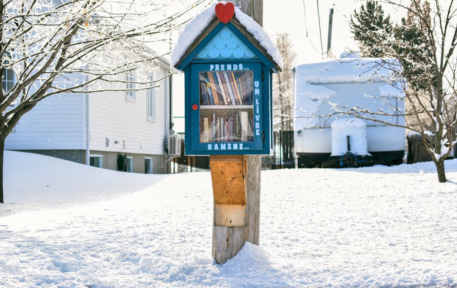 The Evolving Landscape of Book Reviews: From Gatekeepers to Community Builders