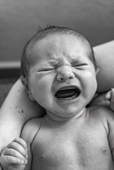 The Emotional Engine of BookTok: Why We Cry, Buy, and Connect