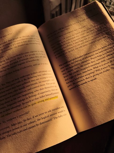 The Emotional Algorithm: A BookTok Review of Our Inner Worlds