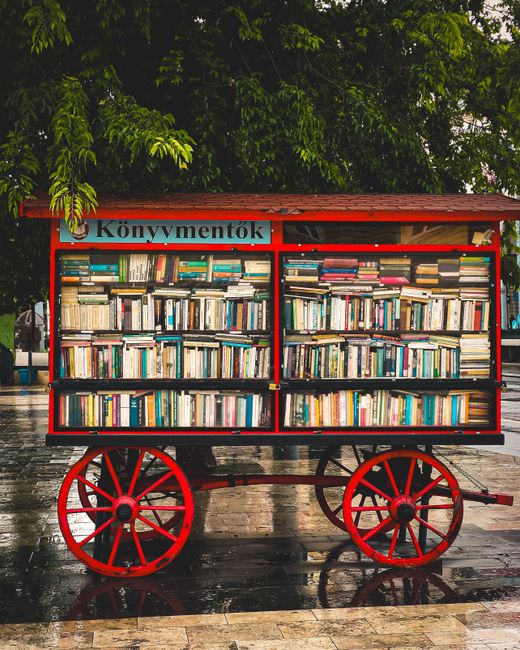The Emotional Engine of BookTok: How Tears Built an Empire