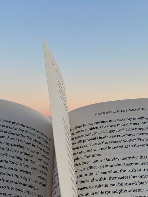 The Emotional Algorithm: A BookTok Review of Our Inner Worlds
