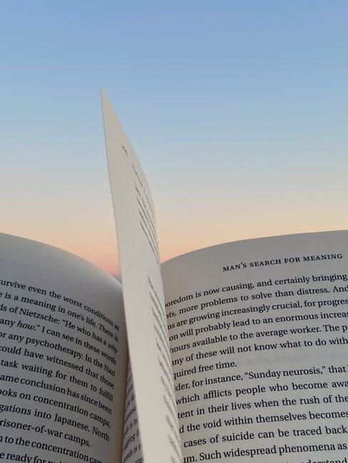 Man's Search for Meaning: Review, Lessons & Summary