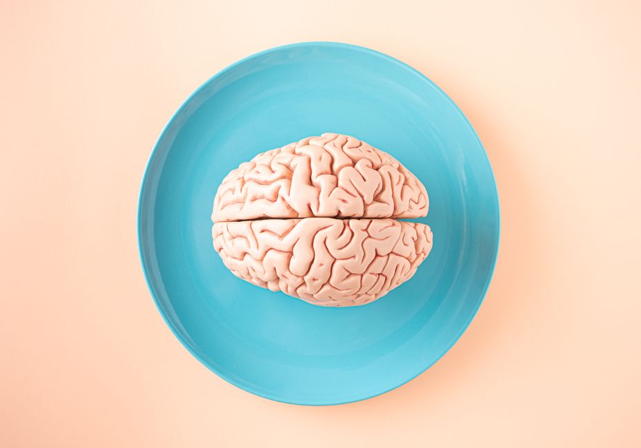 The Biology of Belief Review: Lipton's Key Lessons on Mind Over Matter