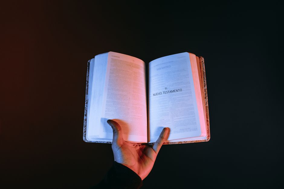 Book Review: The Biology of Belief — Summary, Lessons & Why It Matters