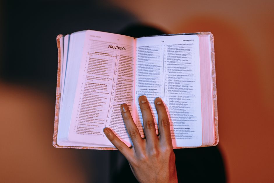 Book Review: The Biology of Belief - Lipton's Key Lessons