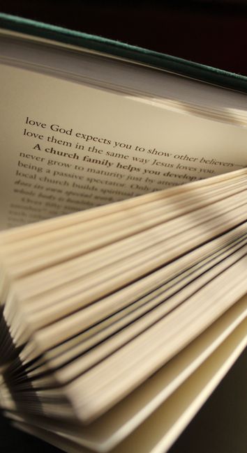 Book Review: The Biology of Belief by Bruce H. Lipton, Ph.D.